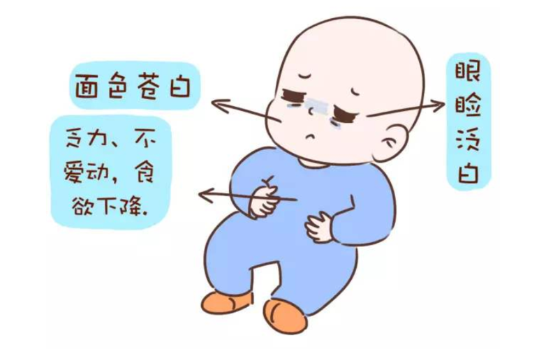 供卵代怀宝宝为什么会贫血